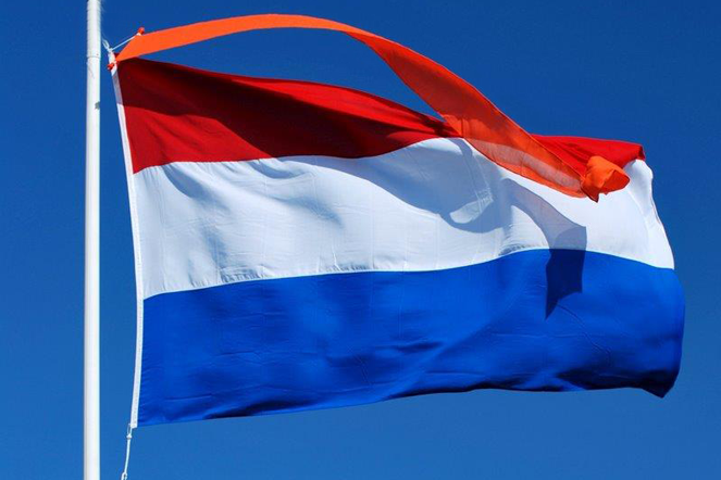 Viva Hollandia groep 7/8!!