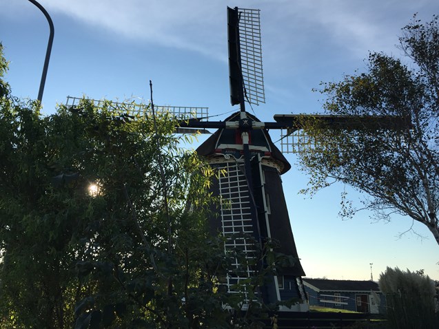 Molen