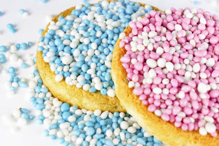 beschuit-met-muisjes