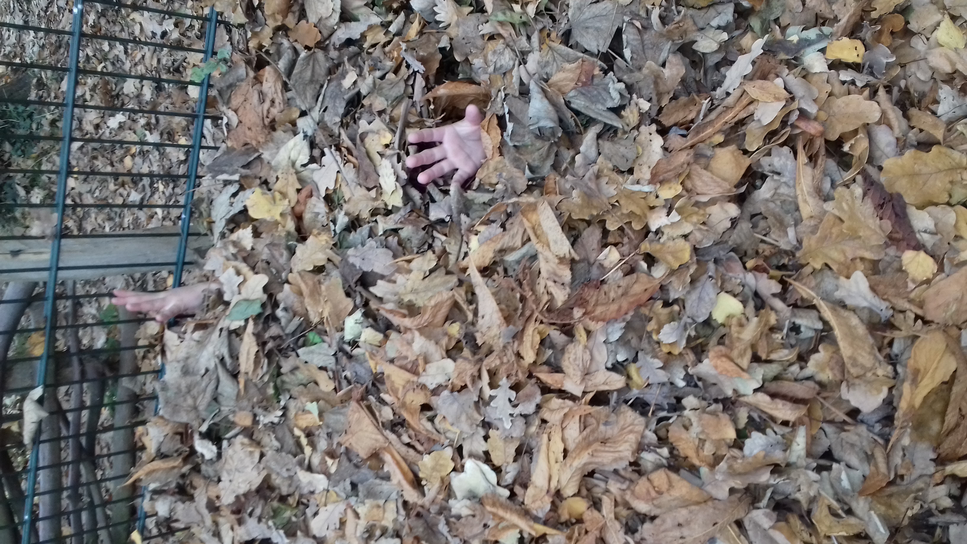 Ondertussen in groep 5...