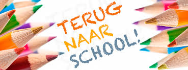 Nieuws uit groep 5/6