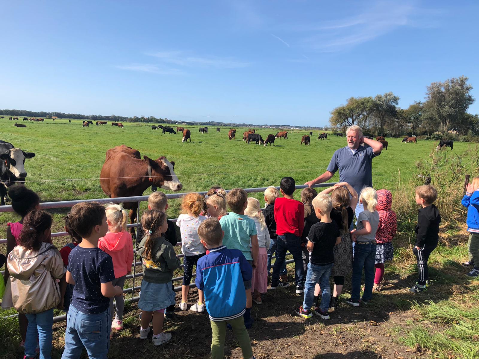 De week van groep 1/2 a