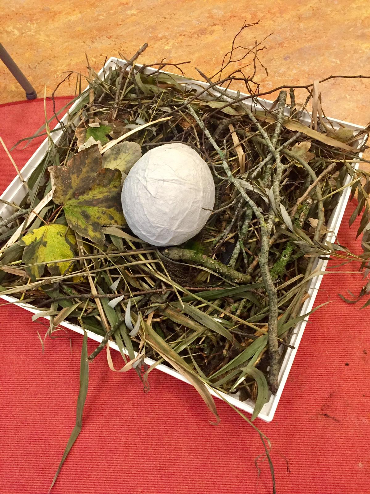 De week van groep 1/2 a