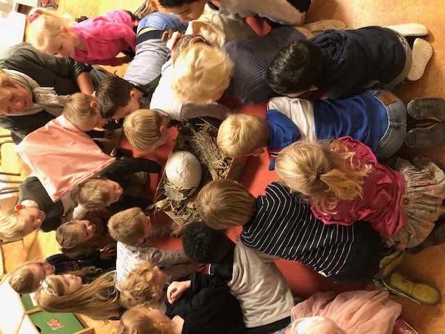 Thema "Dinosaurussen" in groep 1-2 B
