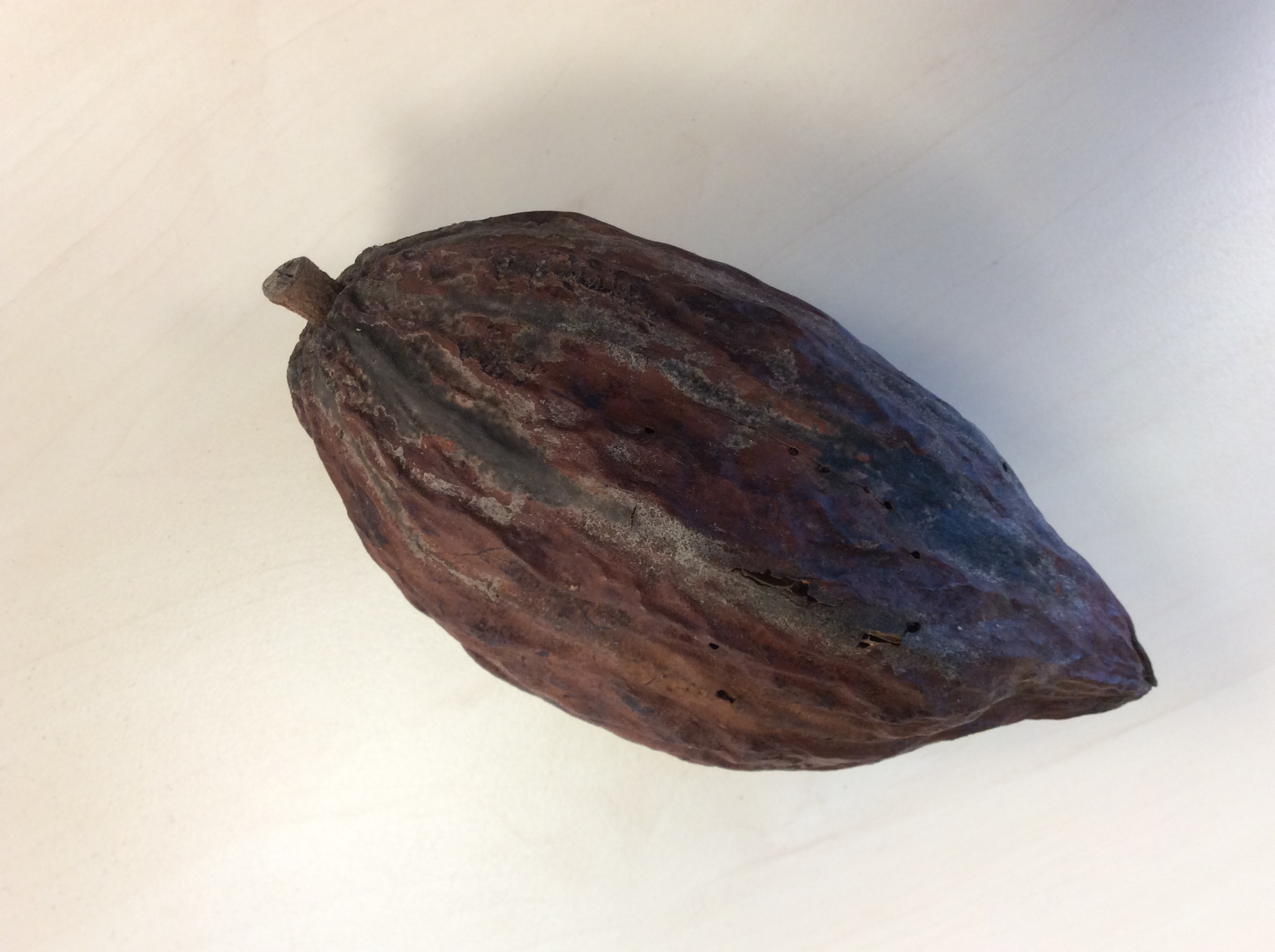 De week van groep 5/6...