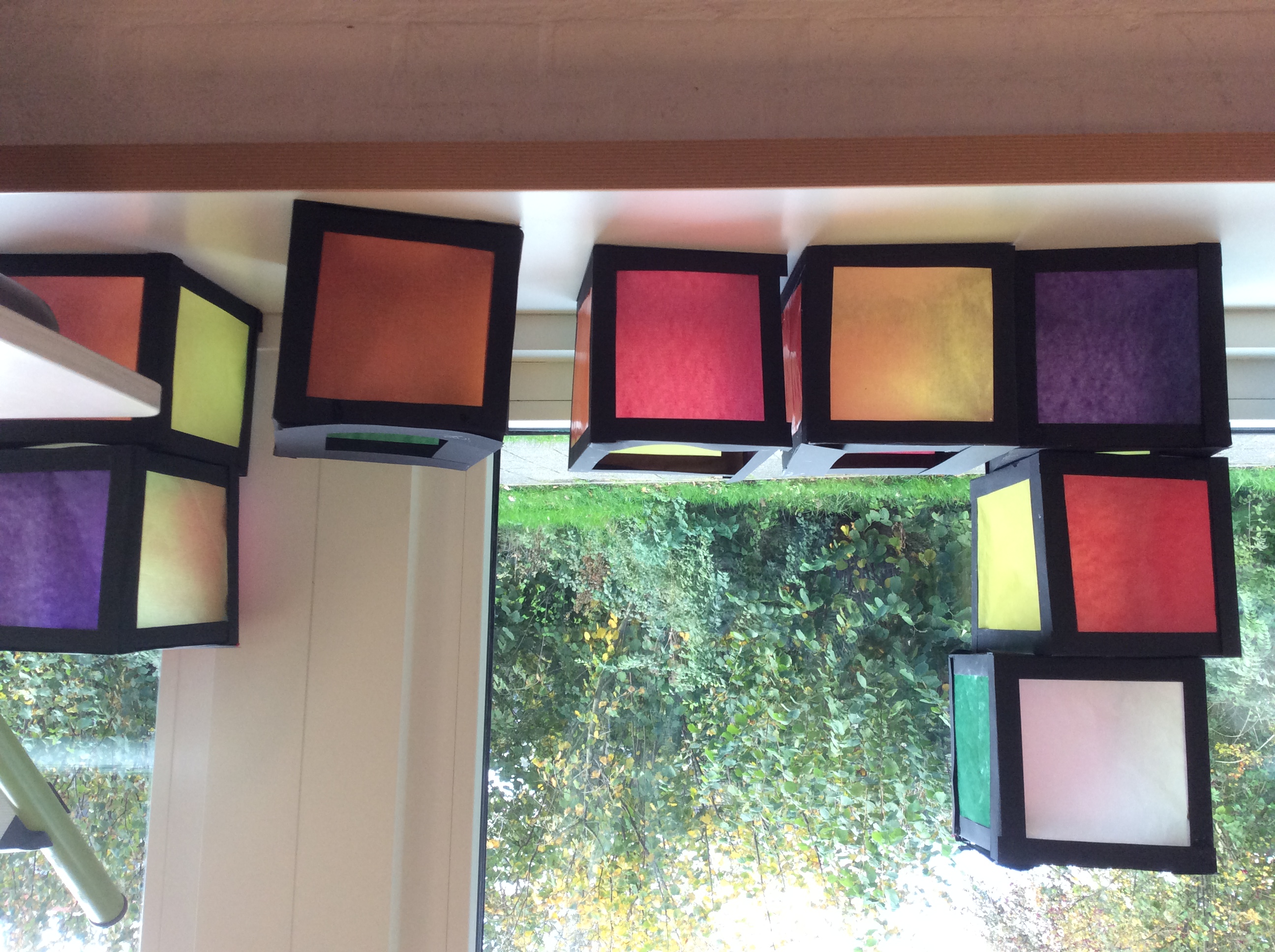 De week van groep 5/6