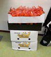 schoolfruit