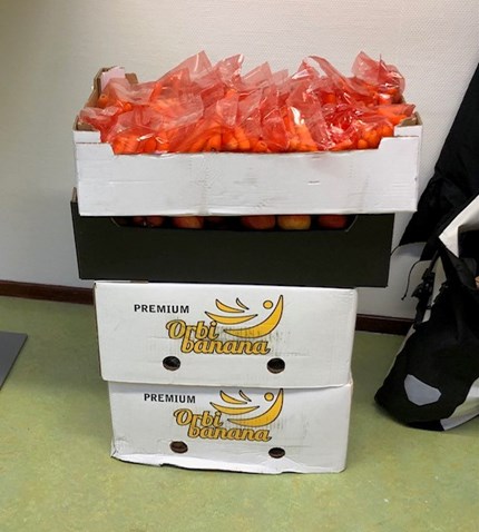 schoolfruit