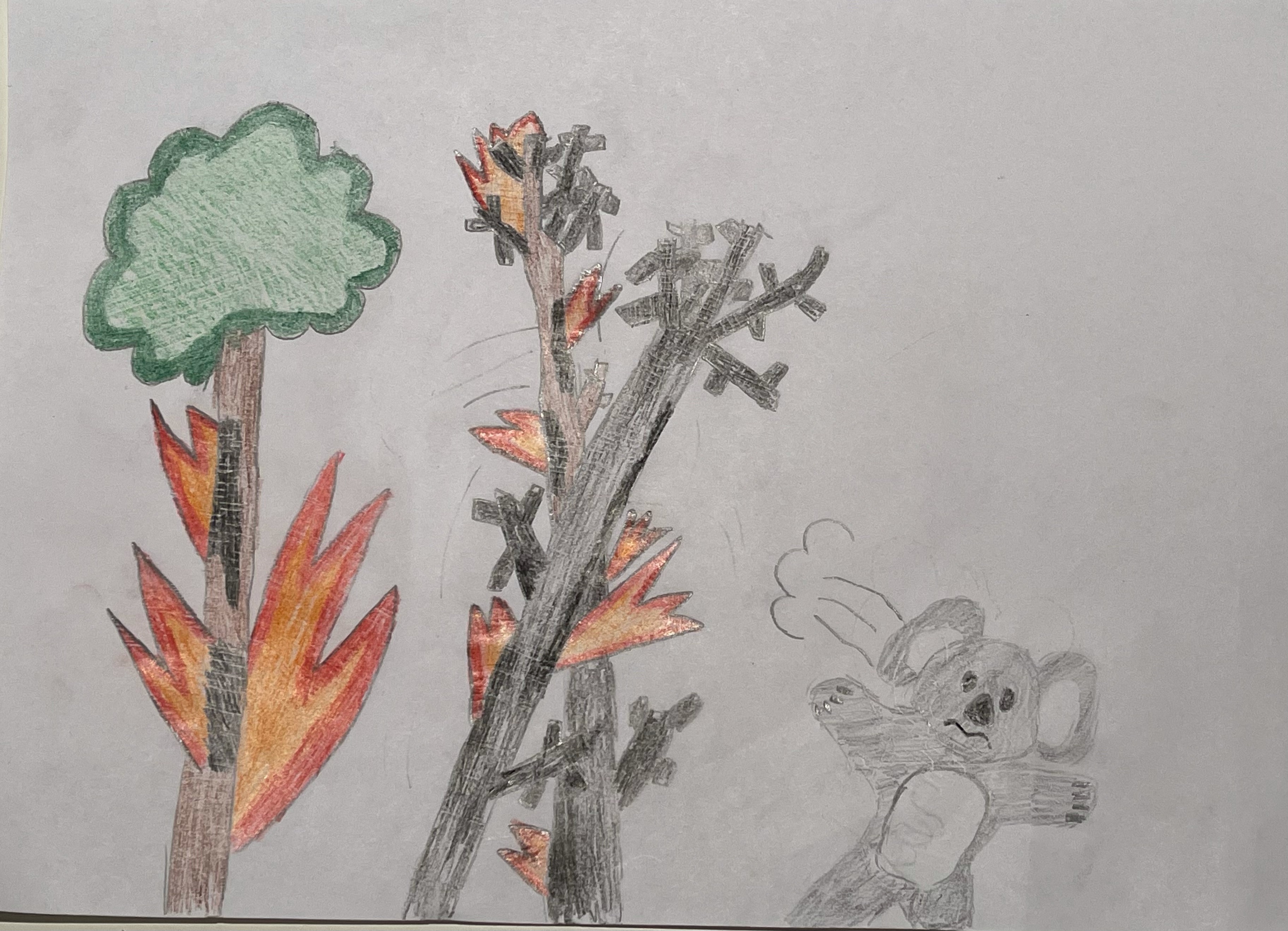 Maatschappelijke problemen, drama en thuiswerk