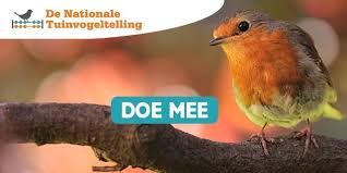 De week van groep 5/6...