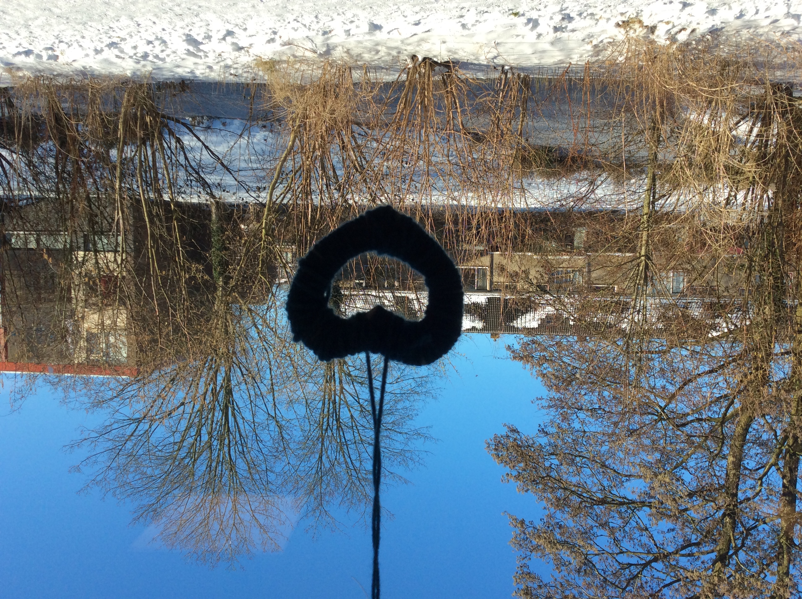 De week van groep 5/6...