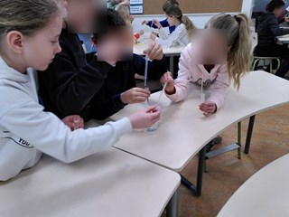 JPEG_20210311_153612_9171004833004884346