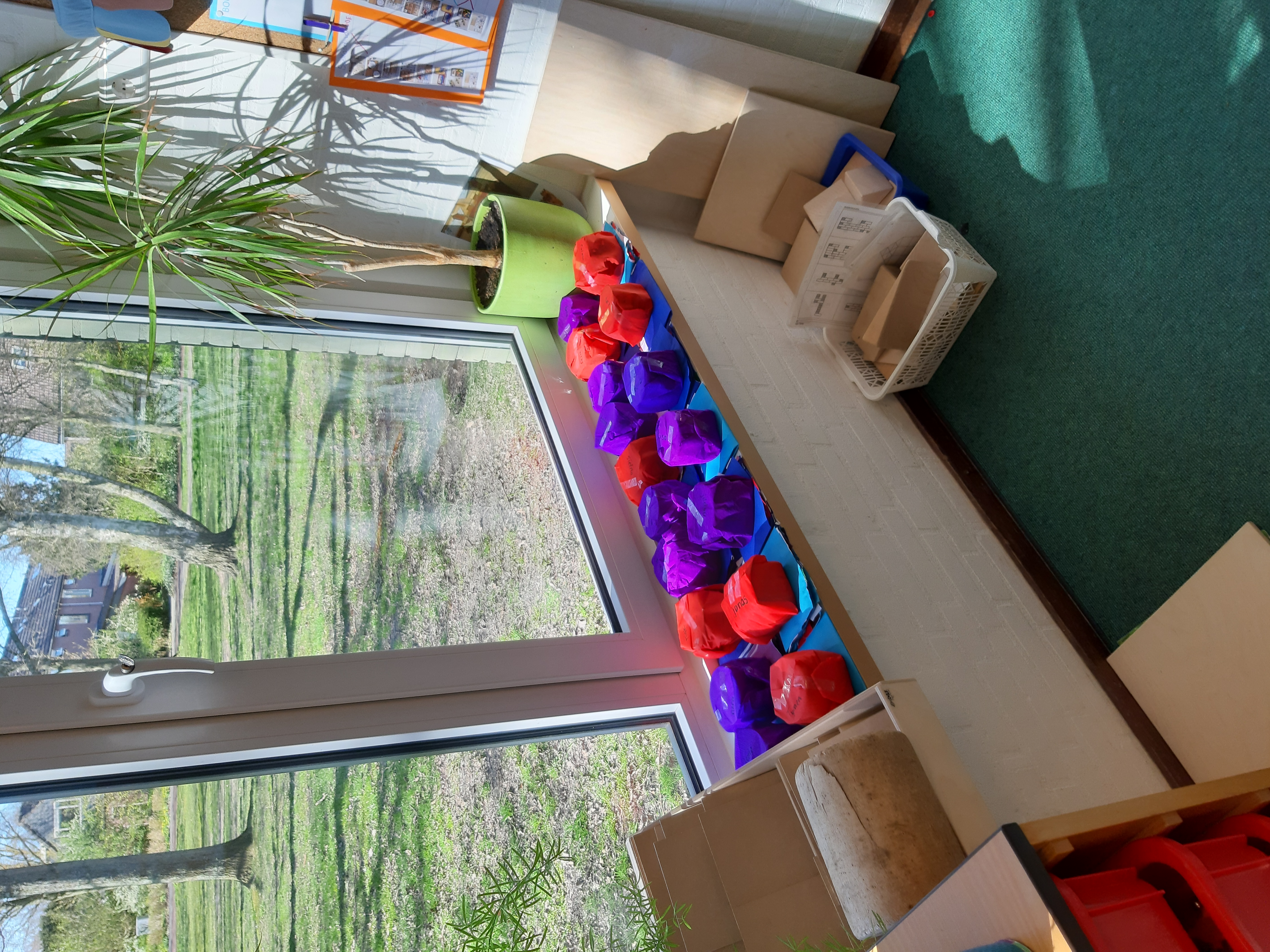 De week van groep 1/2 a