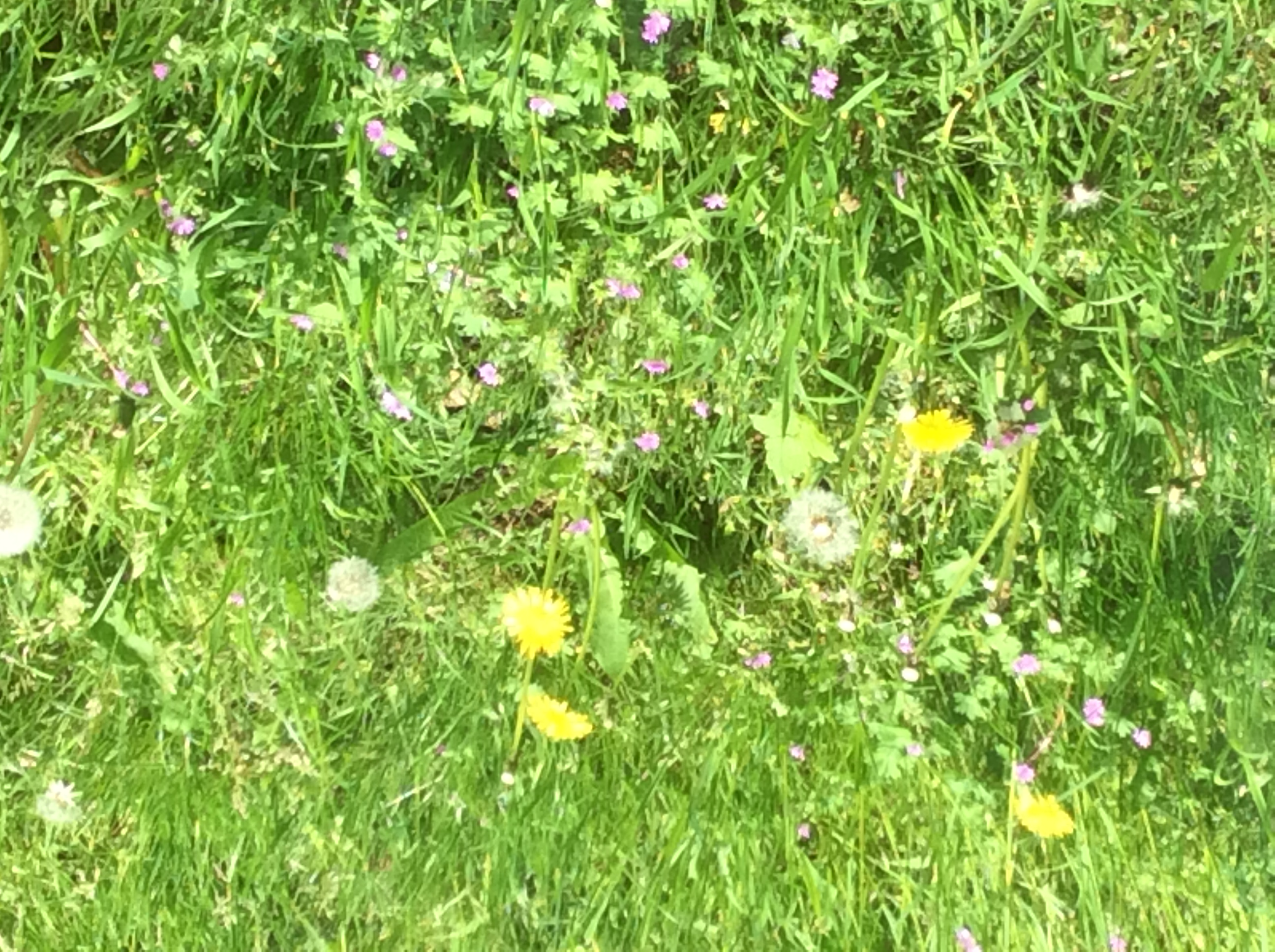 De week van groep 5/6