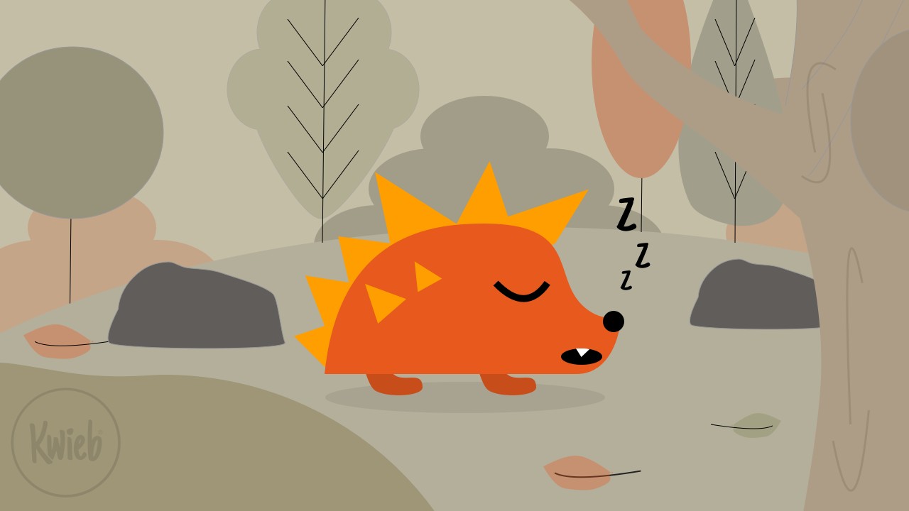 Berichtje uit groep 3