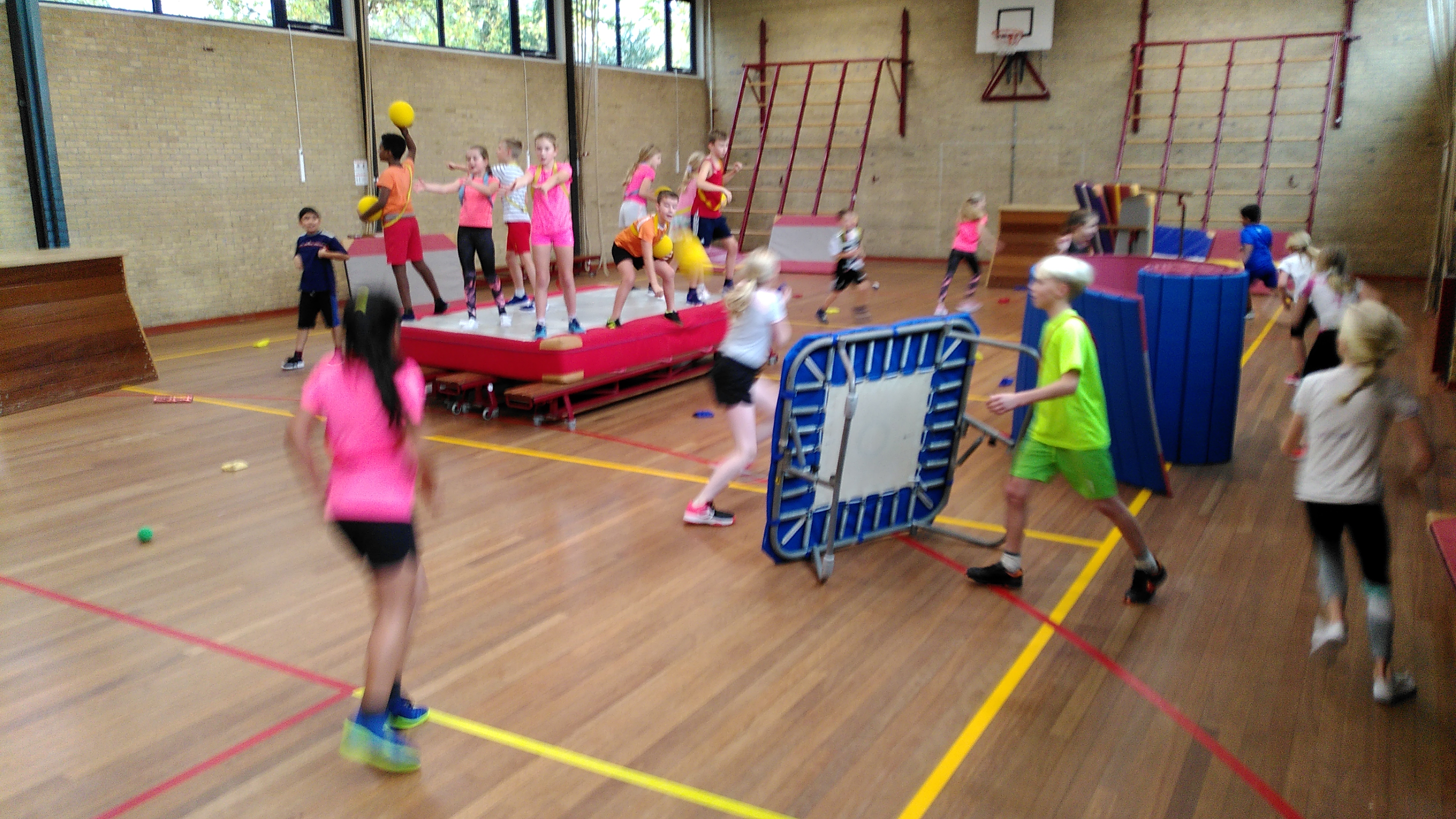 De week van groep 6/7