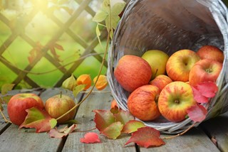 apples-gd9c44ad84_1920