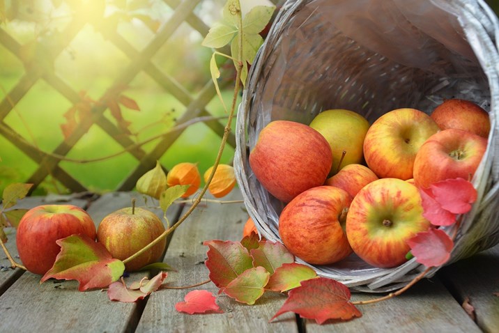 apples-gd9c44ad84_1920