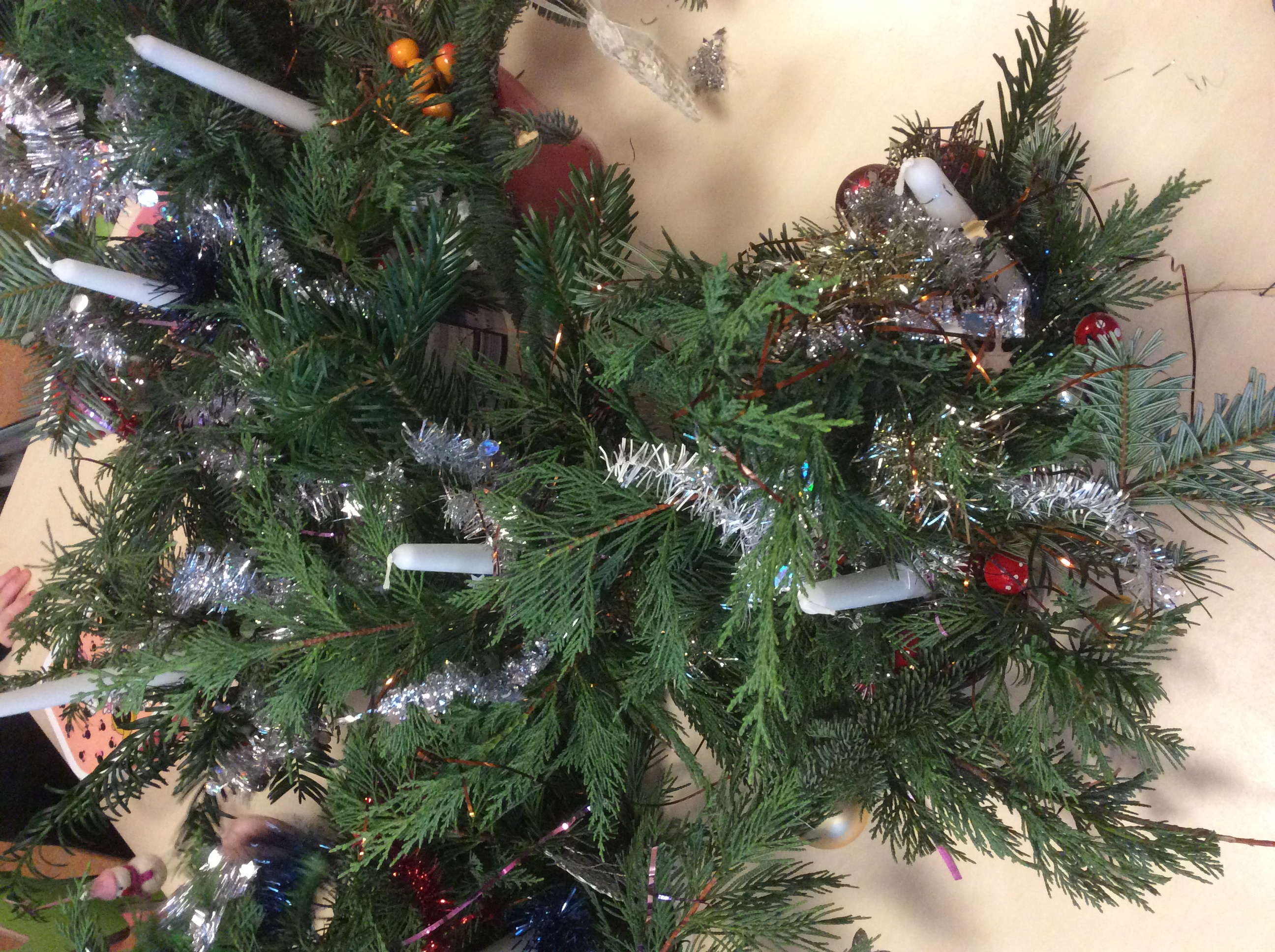 De week van groep 1/2 A