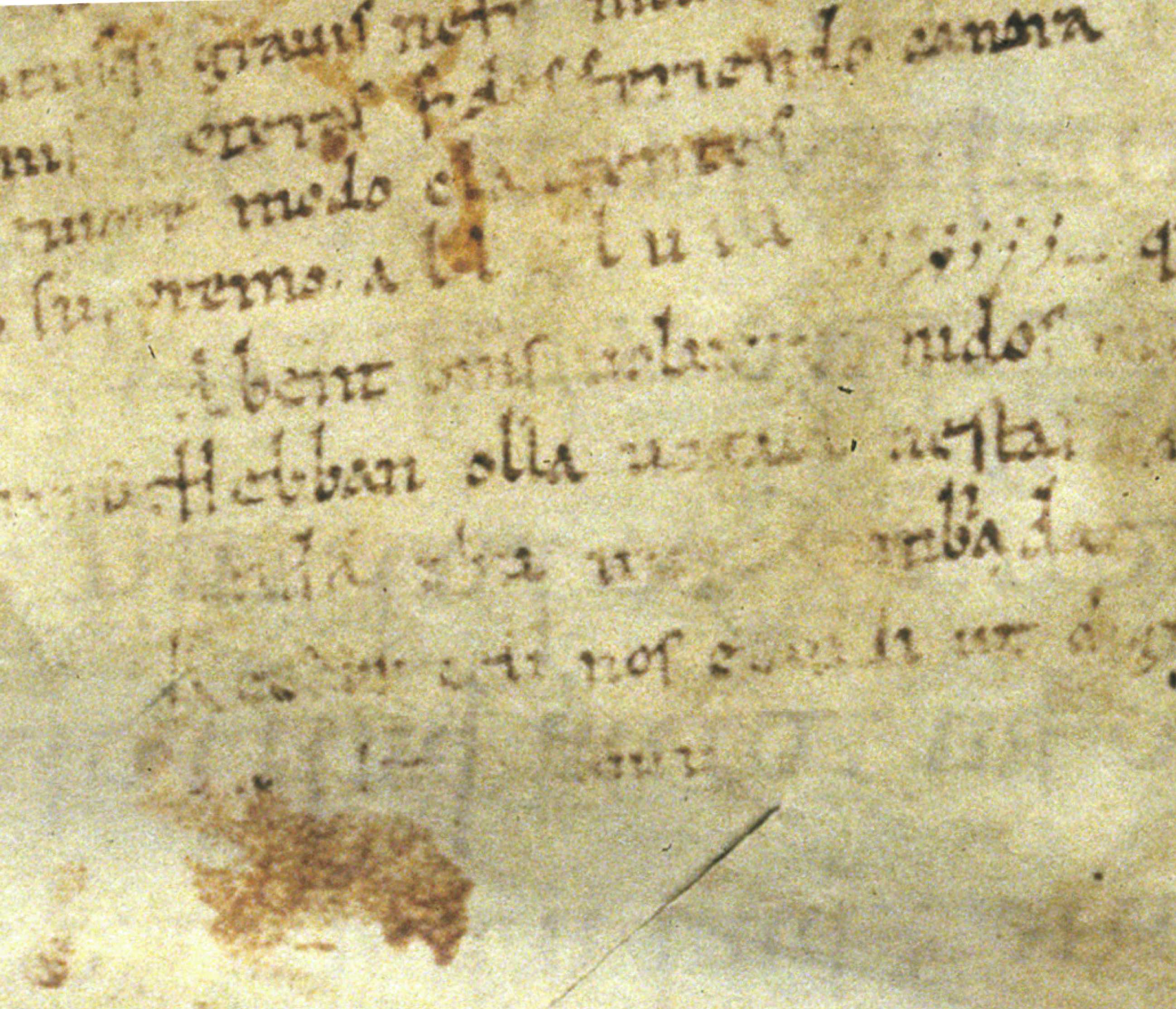 De week van groep 6/7