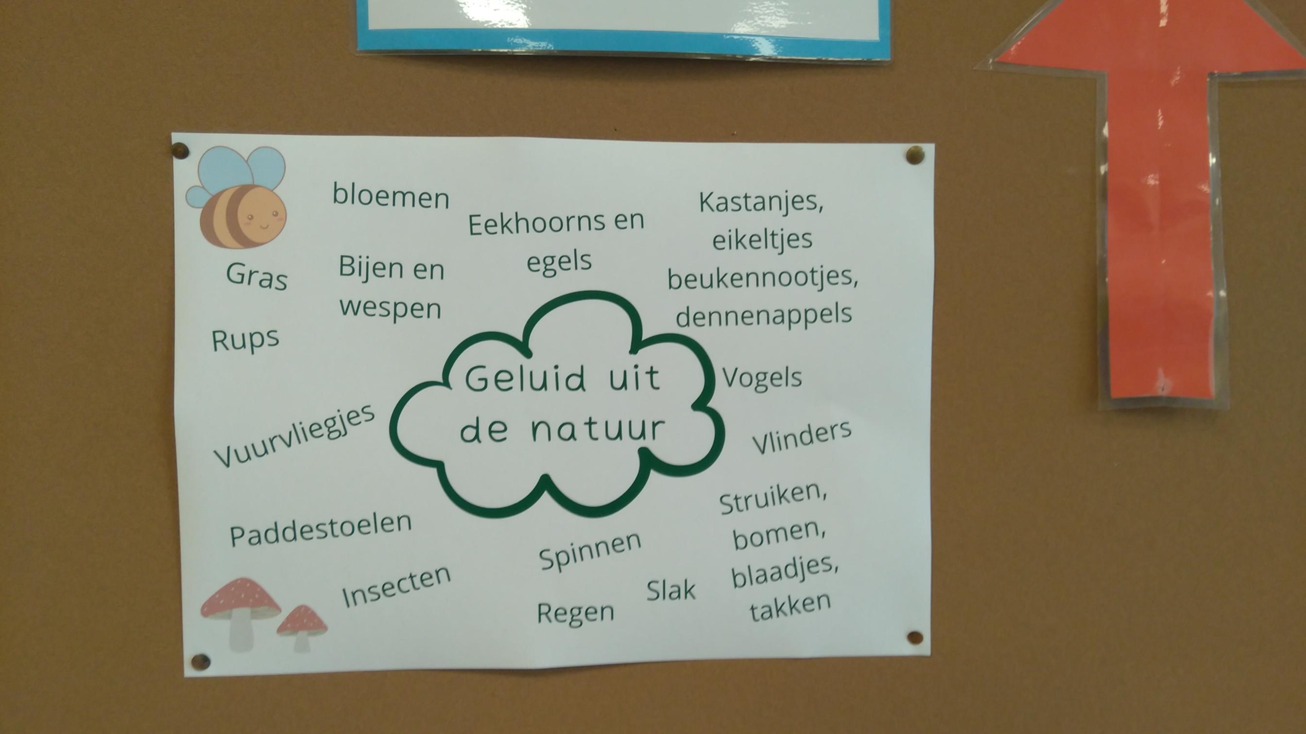 Onze week in groep 3