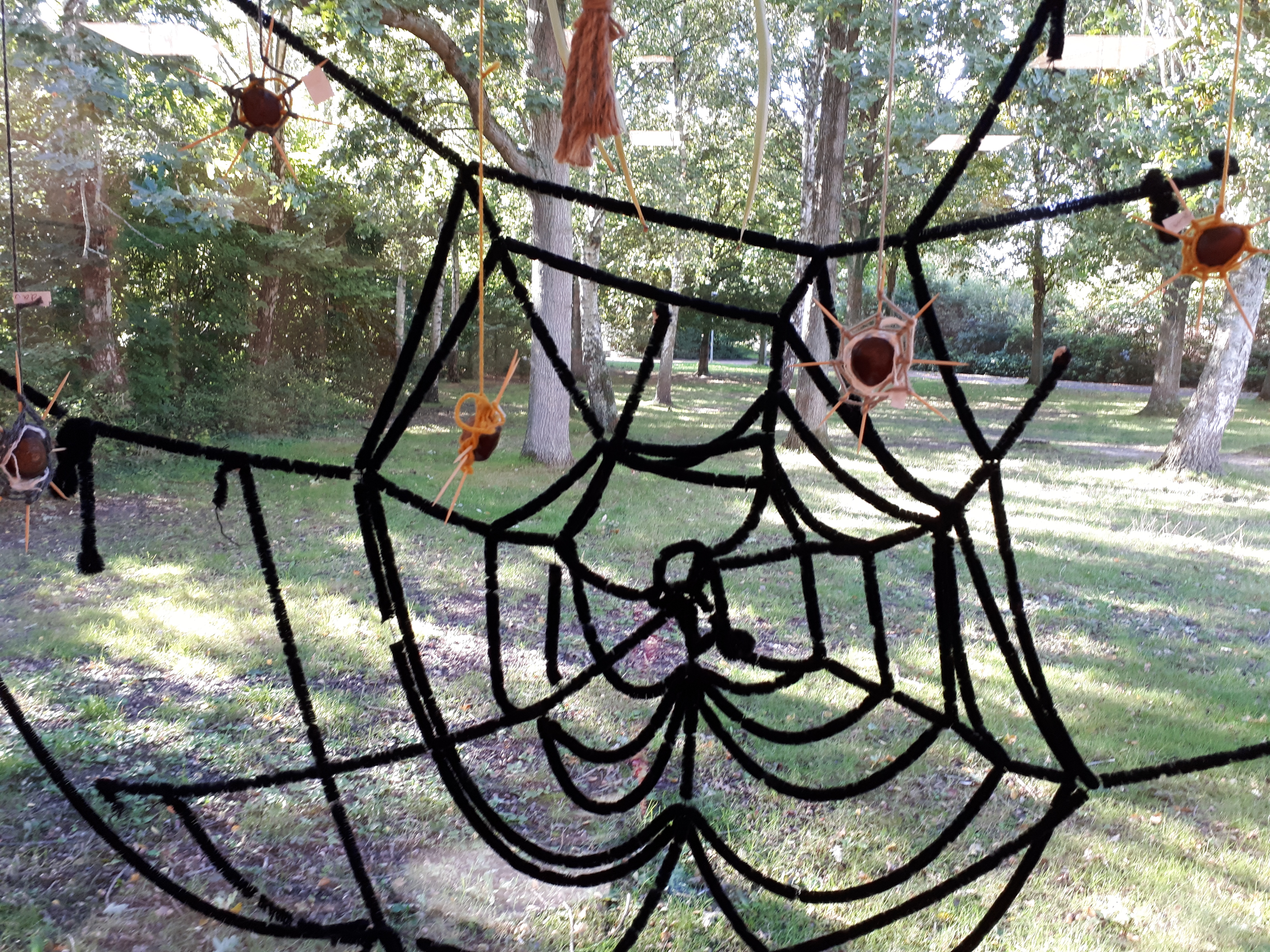 Kriebelbeestjes bij de kleuters