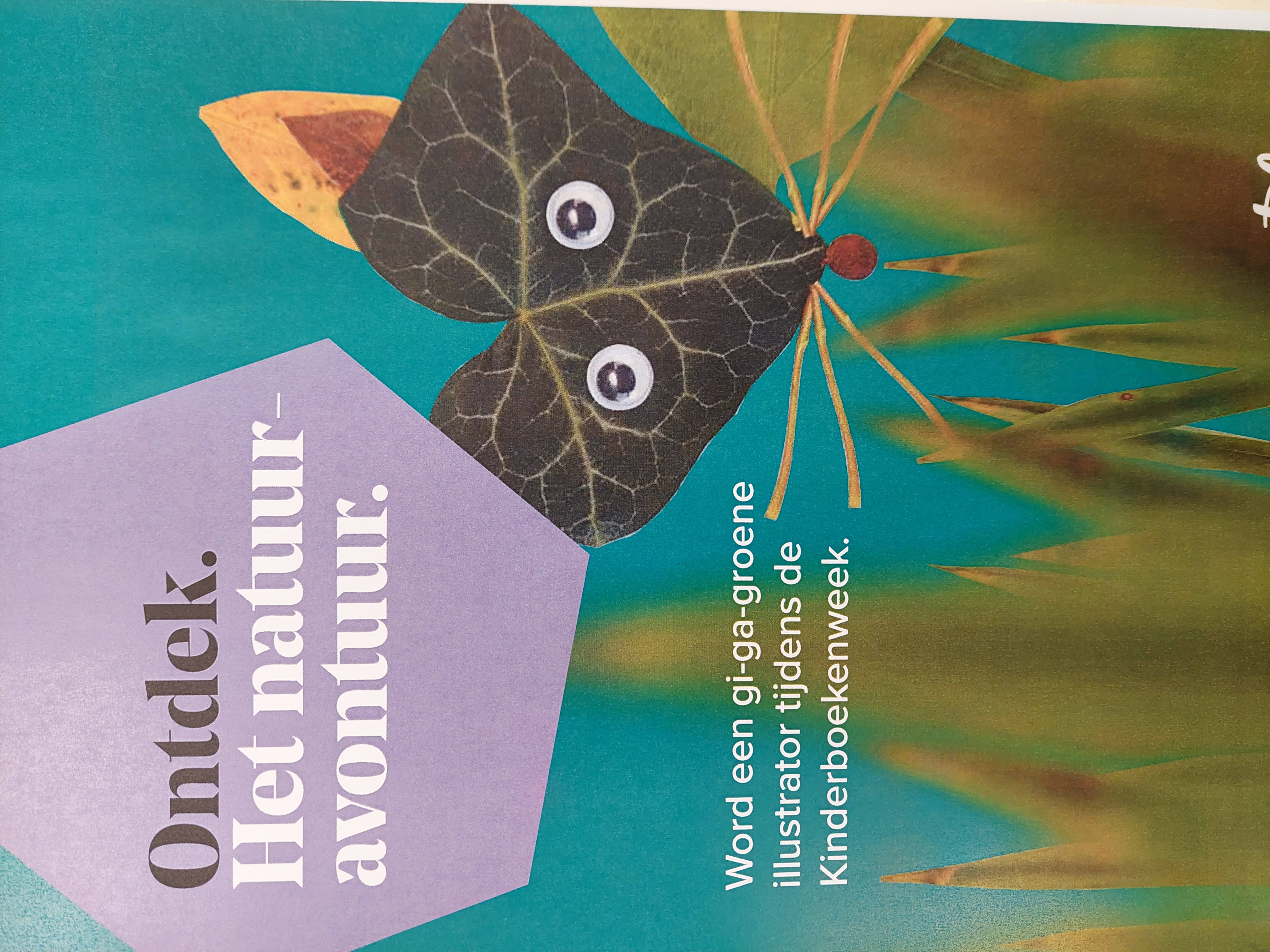 De gi-ga-groene week van groep 5