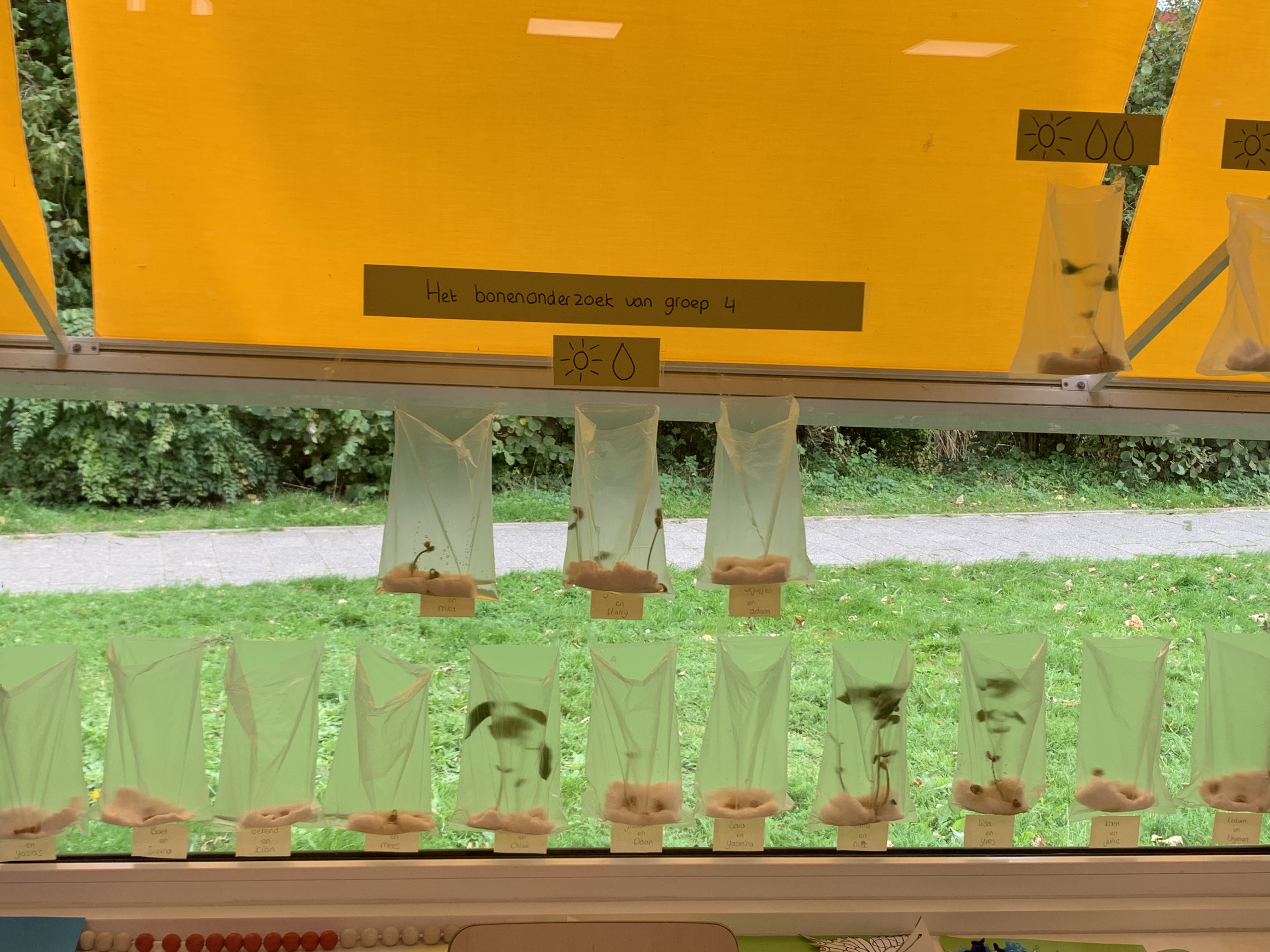 Weekbericht van groep 4