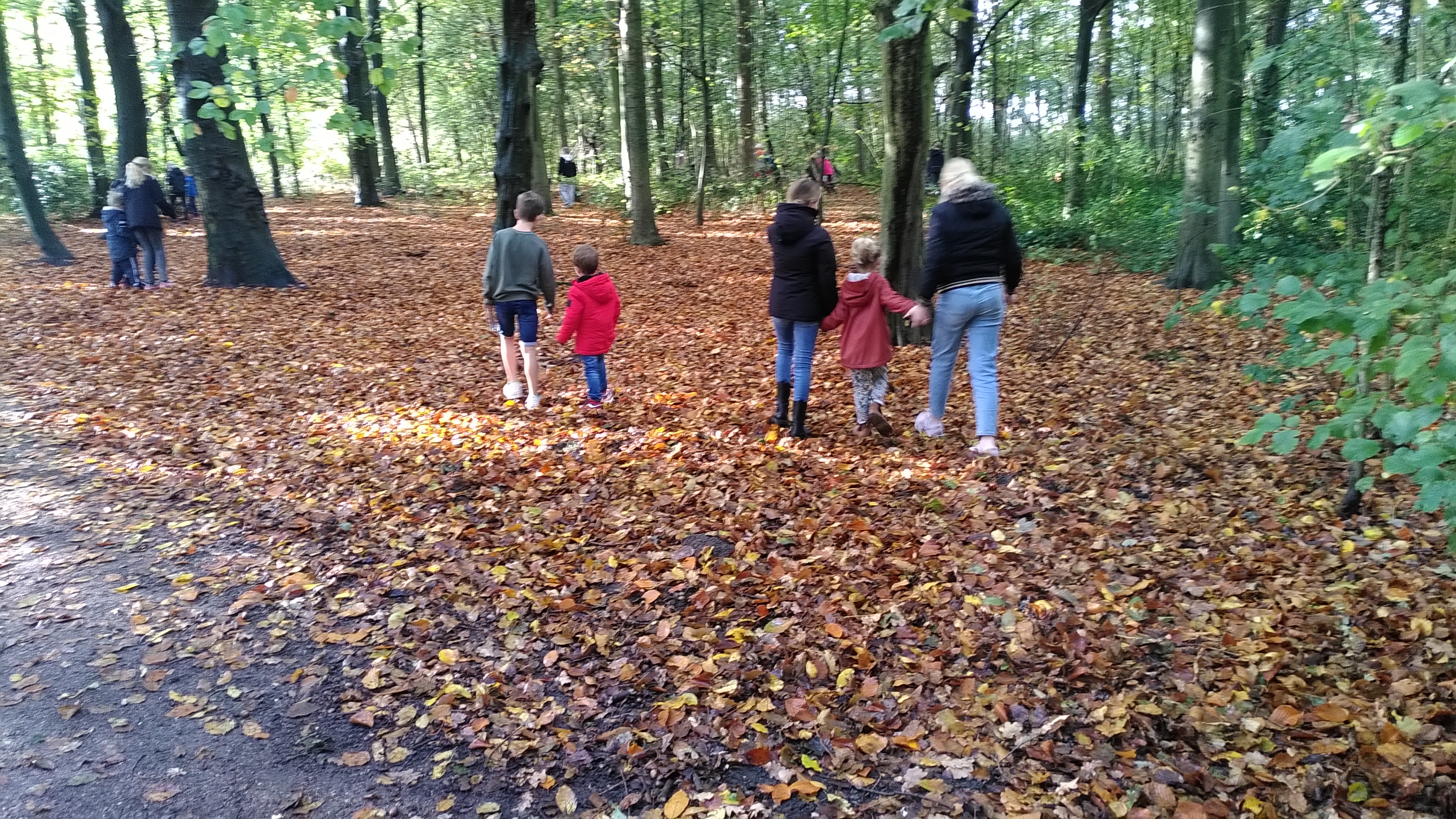 De week van groep 7/8