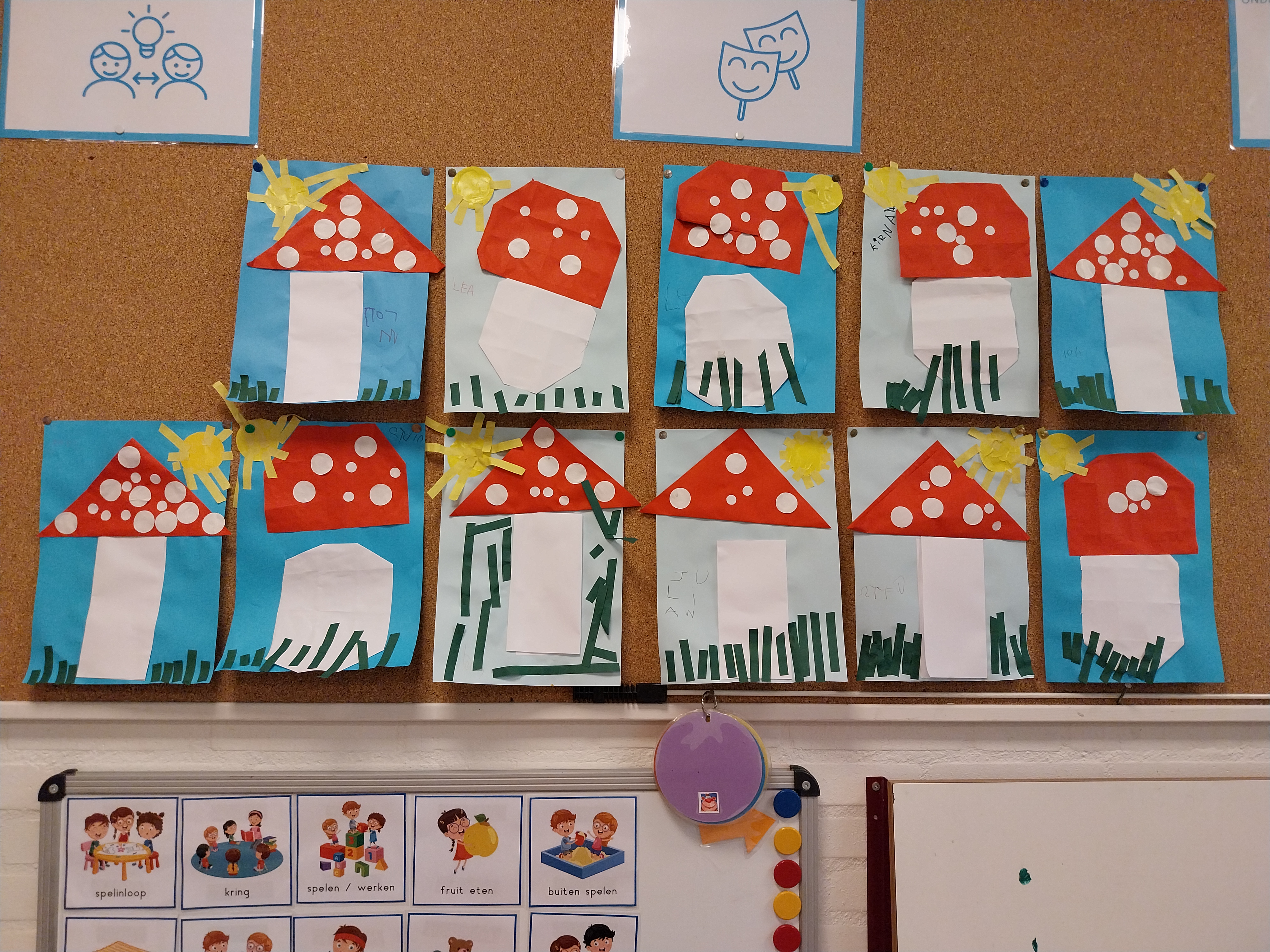 De week van groep 1/2a