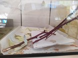 2025_05_08 16_21 Office Lens (2)