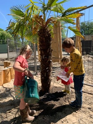 bomen 1