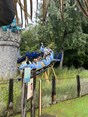IMG_6493