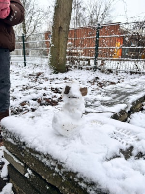 WhatsApp Image 2026-01-30 at 08.07.35 (1)