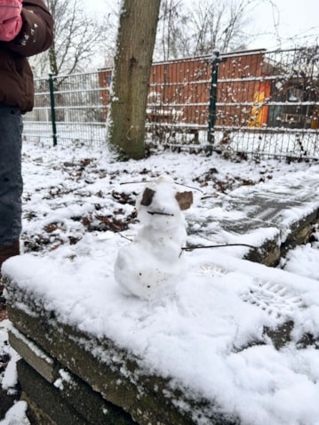 WhatsApp Image 2026-01-30 at 08.07.35 (1)