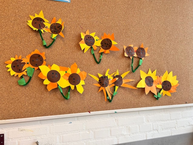 WhatsApp Image 2026-02-13 at 13.38.41