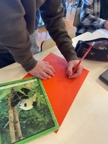 20260213_101615432_iOS