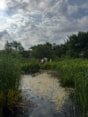 IMG-20260527-WA0044